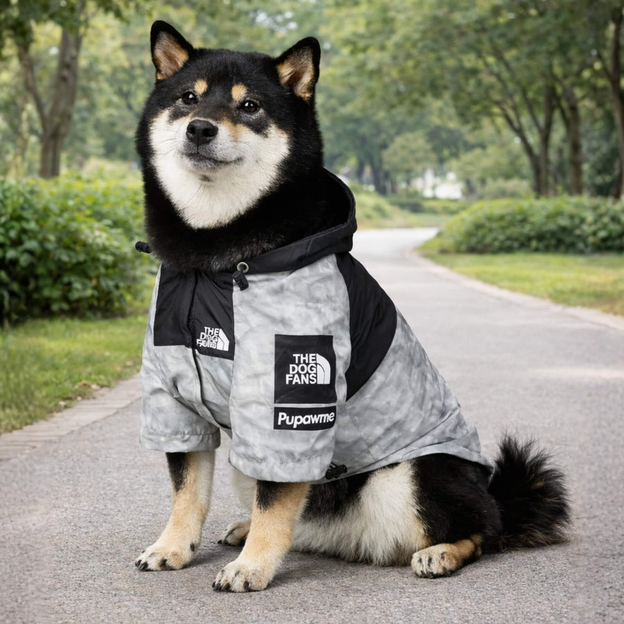 RainShell Windbreaker