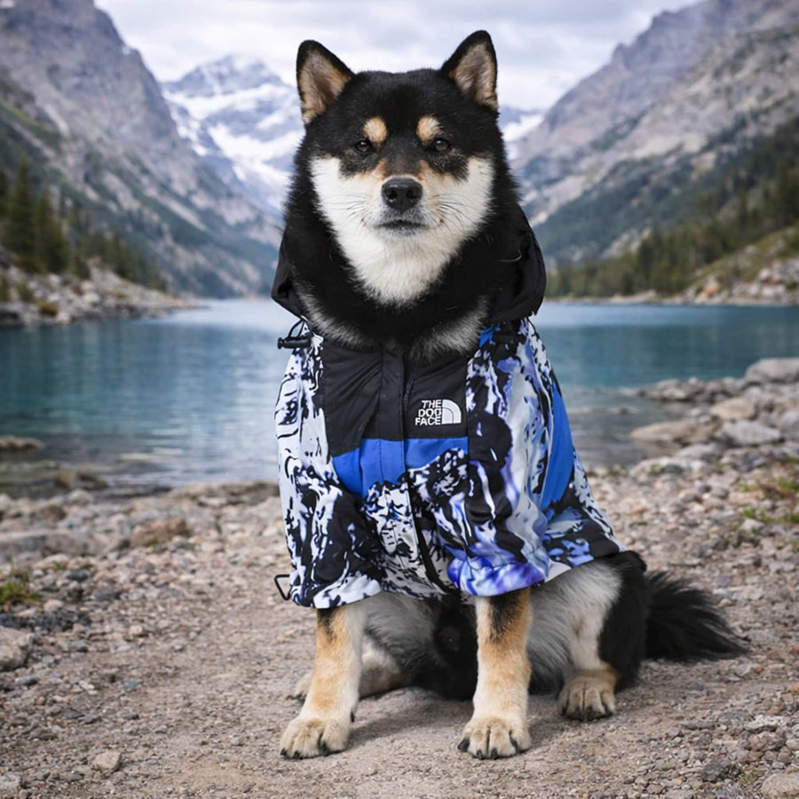Dog wearing a windbreaker raincoat jacket with a mountainous landscape in the background