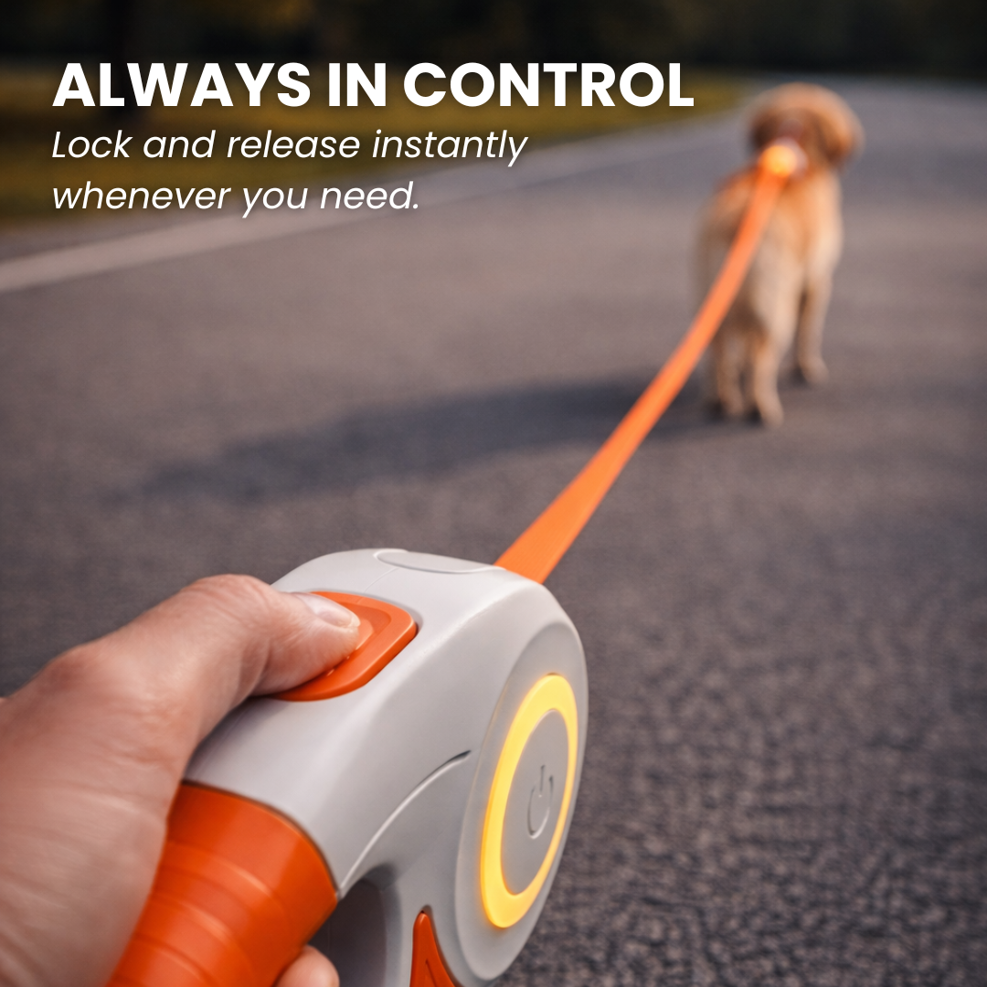 Smart LED Retractable Dog Leash