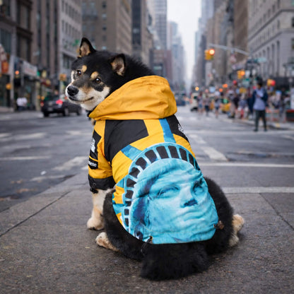 RainShell Windbreaker — Liberty Edition