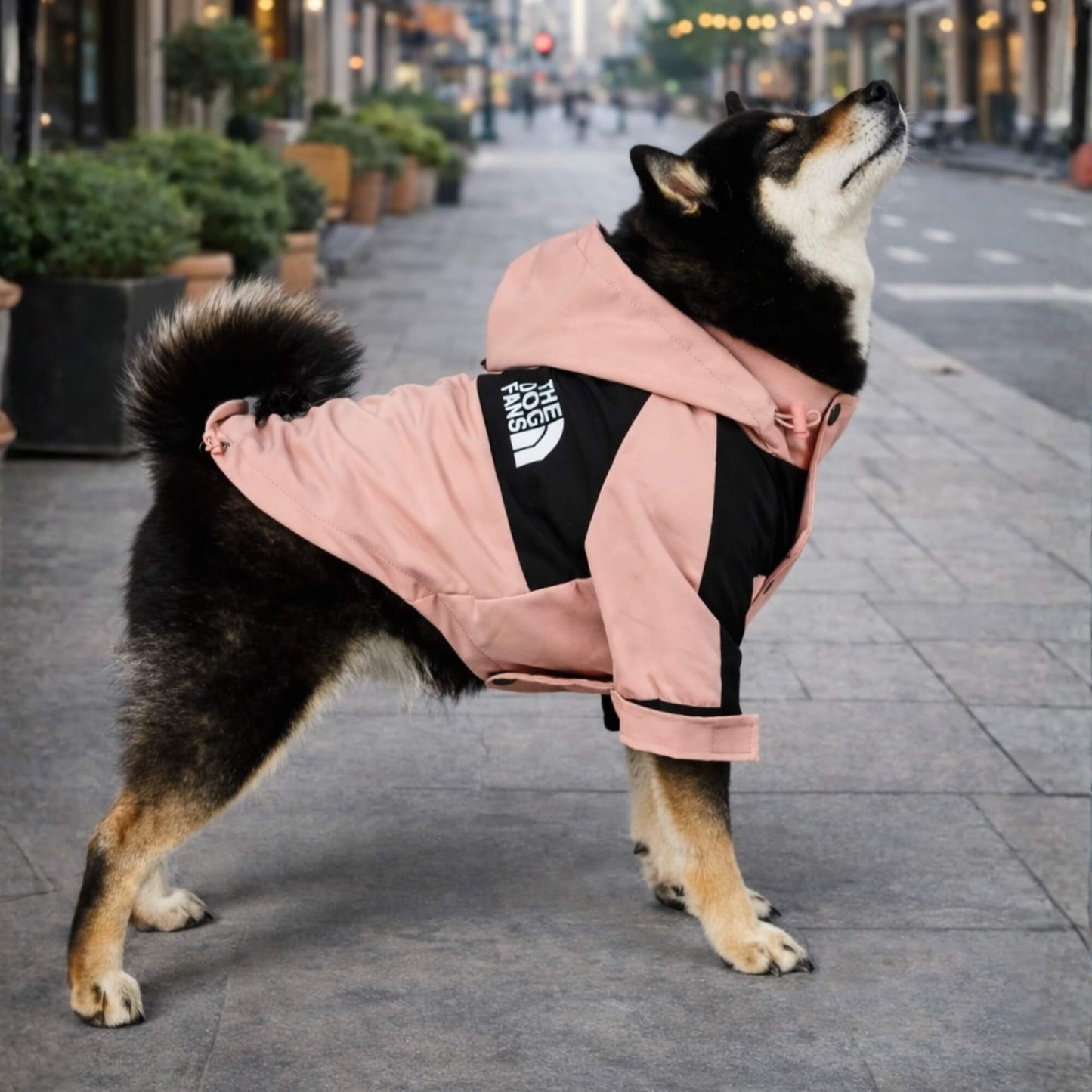 RainShell Windbreaker — Urban Edition
