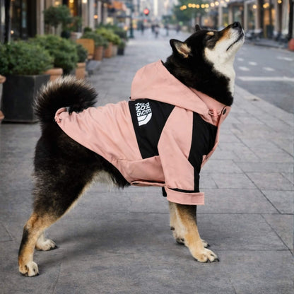RainShell Windbreaker — Urban Edition