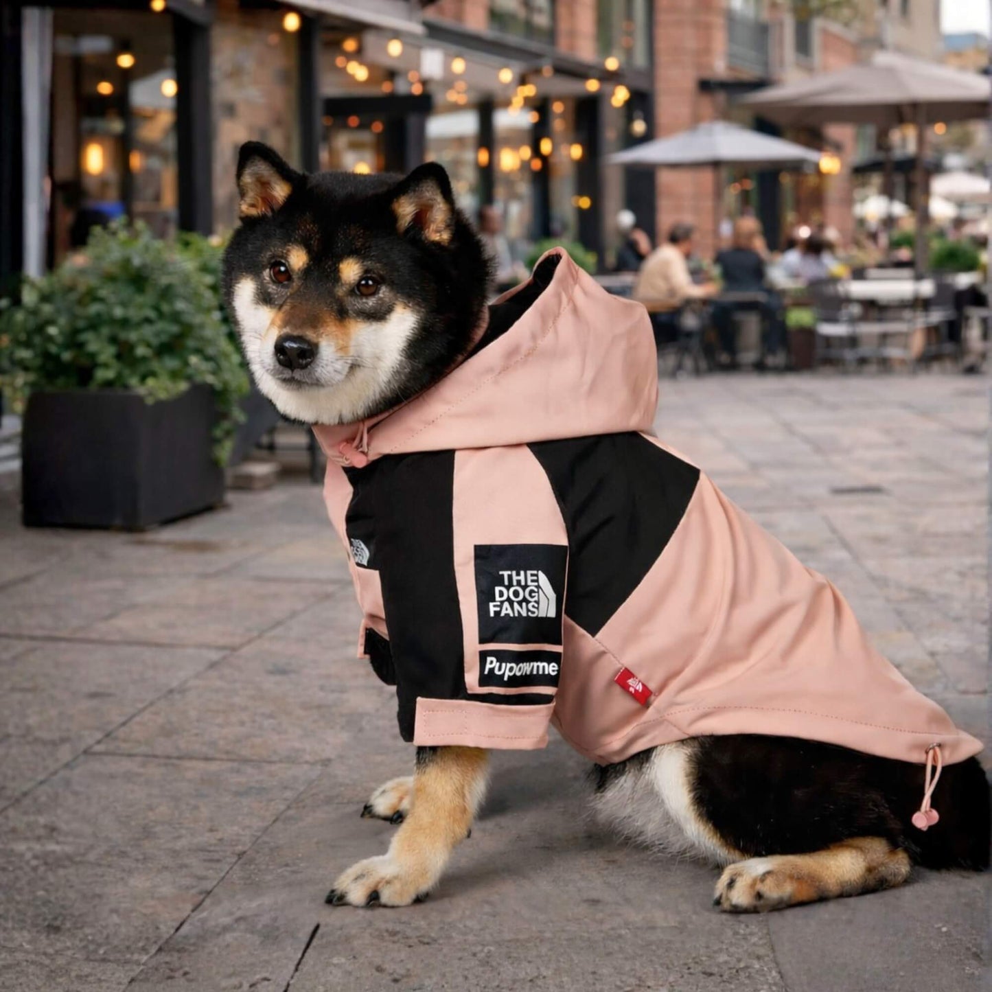 RainShell Windbreaker — Urban Edition