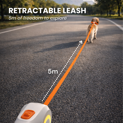 Smart LED Retractable Dog Leash