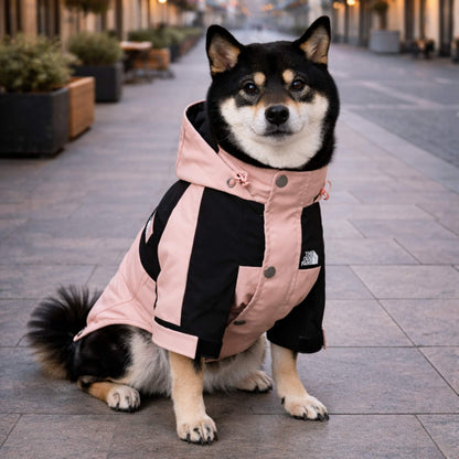 RainShell Windbreaker — Urban Edition