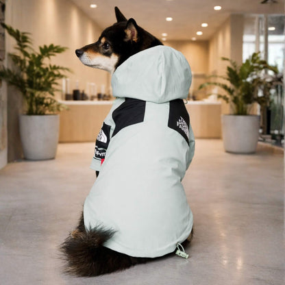 RainShell Windbreaker — Urban Edition