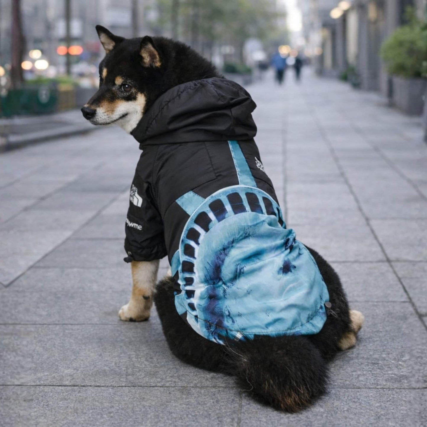 RainShell Windbreaker — Liberty Edition