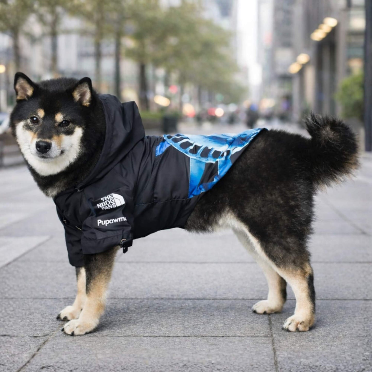 RainShell Windbreaker — Liberty Edition