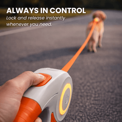 LED Retractable Dog Leash